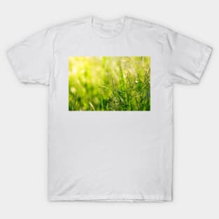 Green grass meadow with a touch of yellow sunbeams T-Shirt